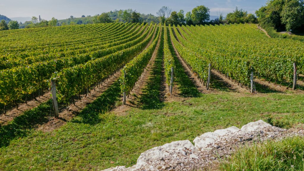 4 bonnes raisons de passer un week-end en Bourgogne