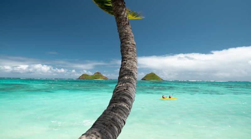 Croisière aventure vs croisière détente en Polynésie, que choisir ?