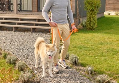 Pourquoi le mobil-home dans un camping séduit de plus en plus d’acheteurs ?