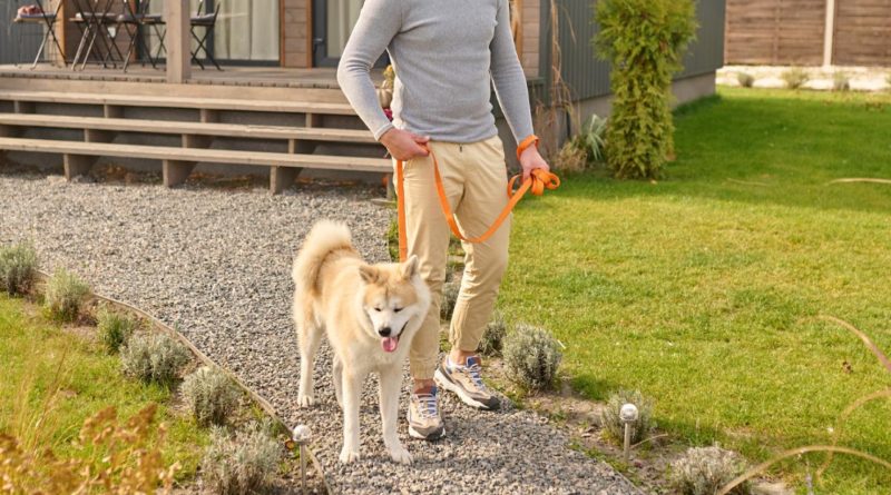 Pourquoi le mobil-home dans un camping séduit de plus en plus d’acheteurs ?